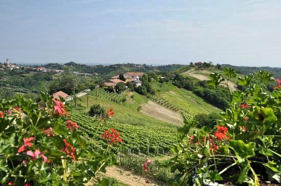 Profumi... Guest House Vinchio Exterior photo